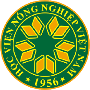 Hải Phòng Branding