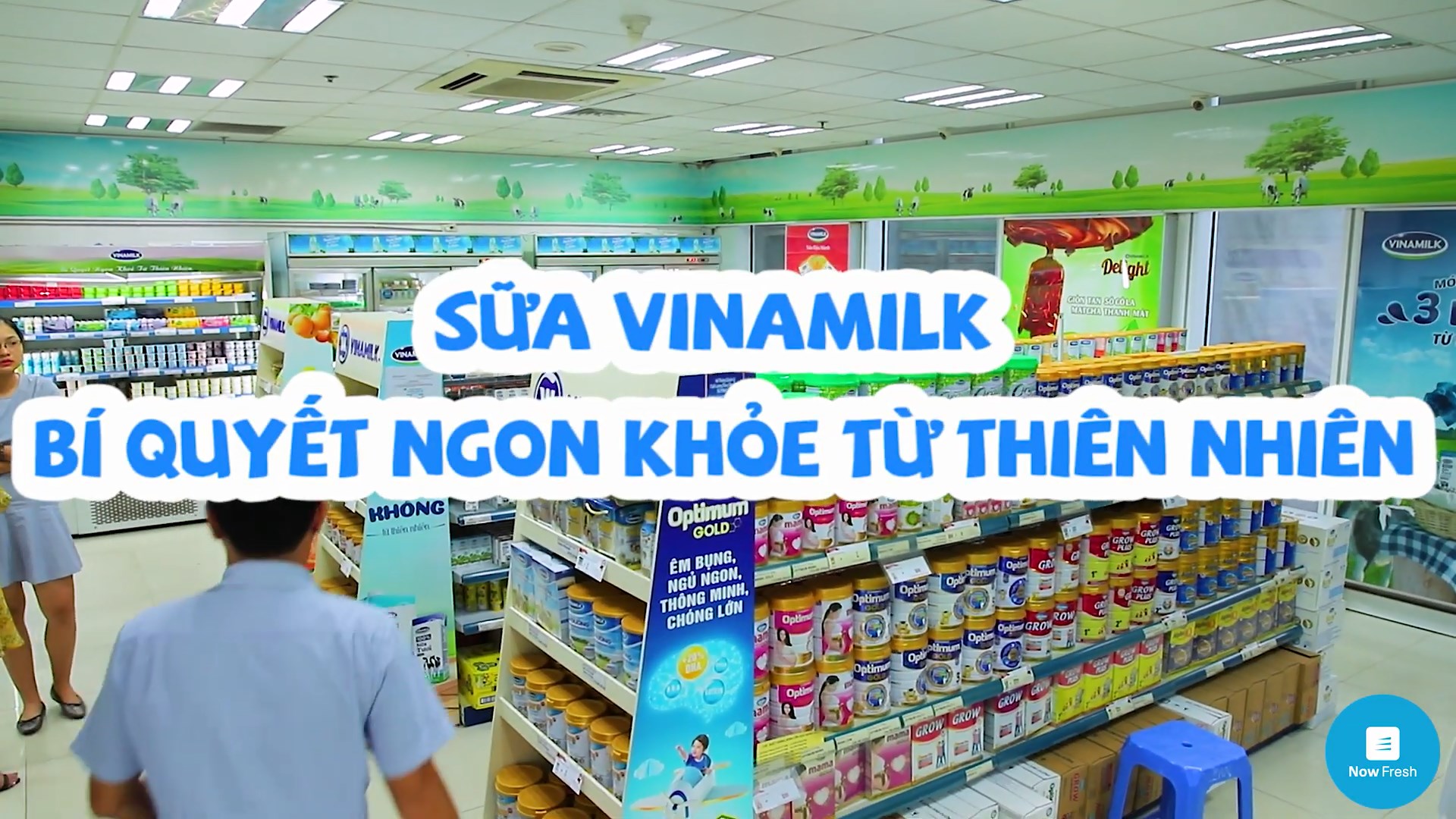 Hệ thống cửa hàng Vinamilk Hải Phòng - Giấc mơ sữa Việt 