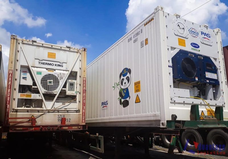 Đơn vị cung cấp container lạnh Hải Phòng - với 15 năm kinh nghiệm