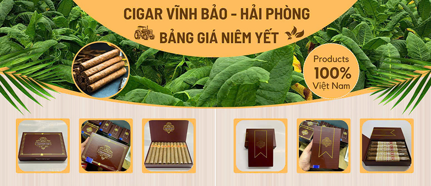 Cigar Vĩnh Bảo Hải Phòng
